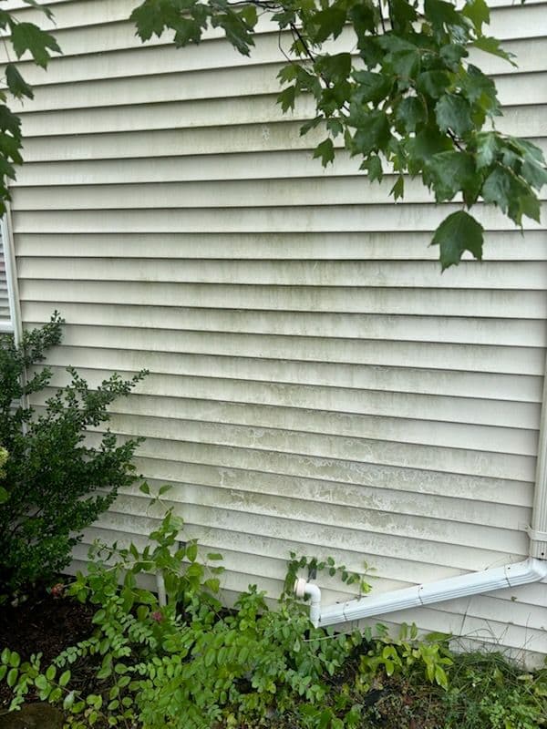 Gallery photos for Incredible Home Transformation with Power Washing: Image #3
