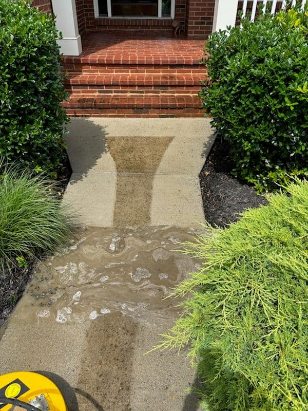 Gallery photos for Transform Your Home with Professional Cleaning: Image #2