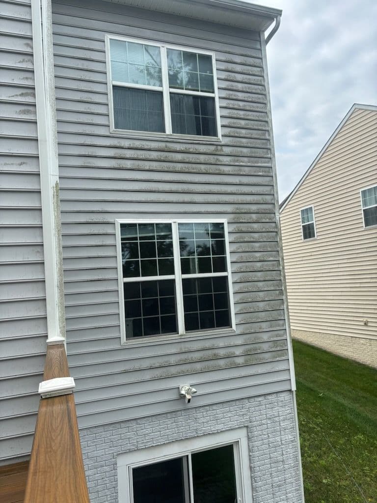 Gallery photos for Vinyl Siding Transformation with Soft Washing: Image #3