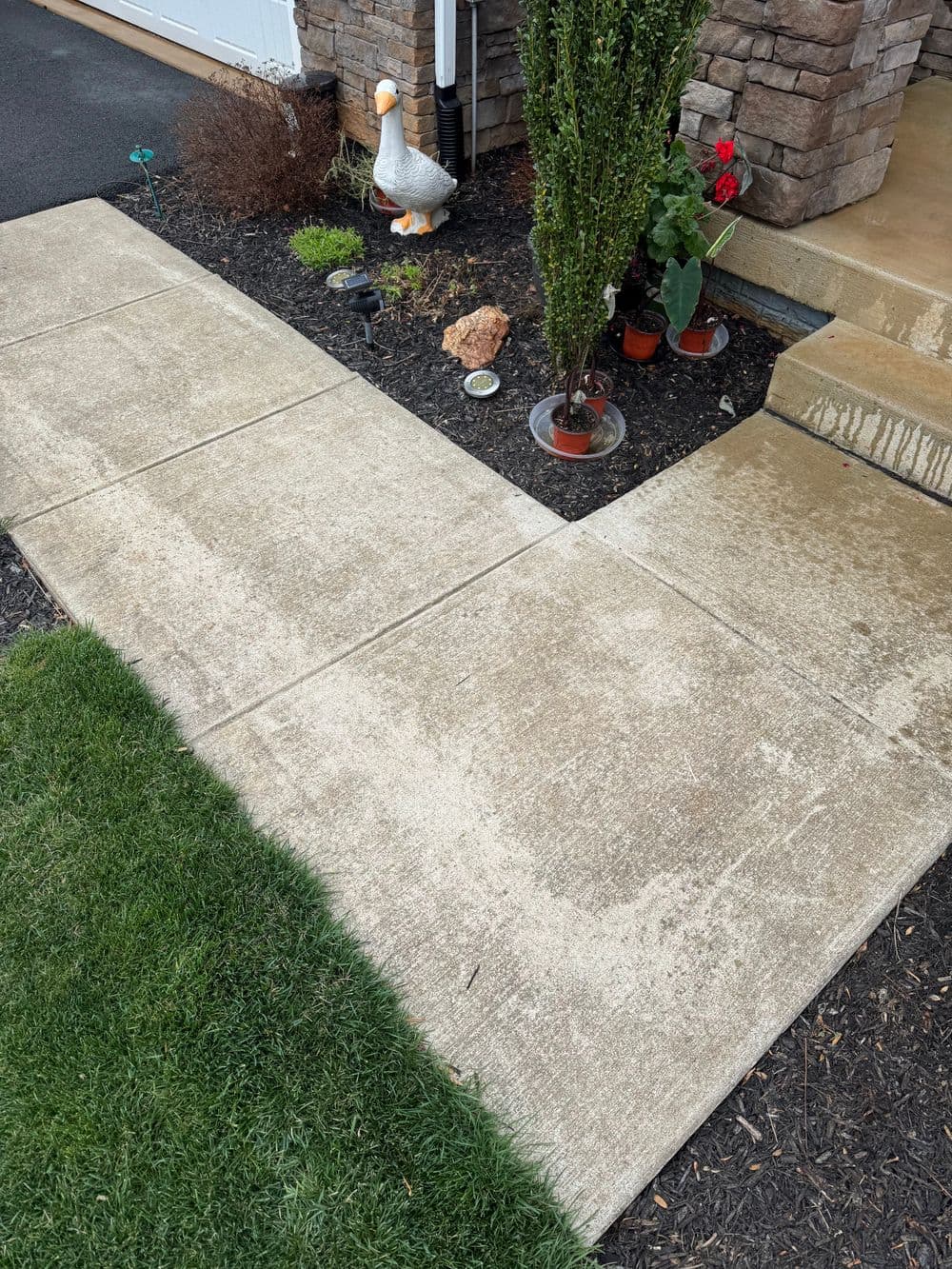 Concrete pathway with a garden featuring plants and a decorative goose statue.